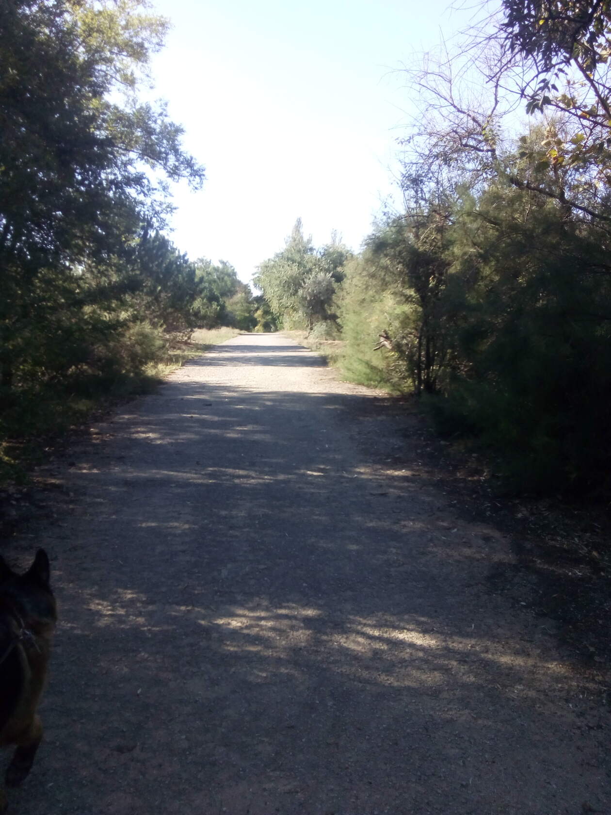 9.09. road to sea 3.jpg